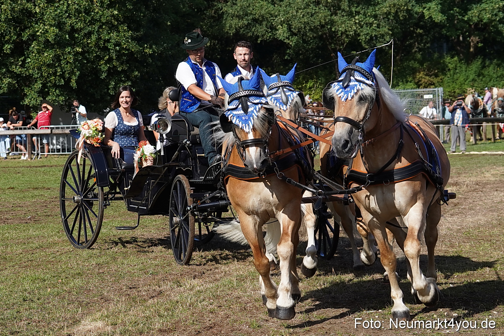 Pferde und Fohlenschau 2022 0121 